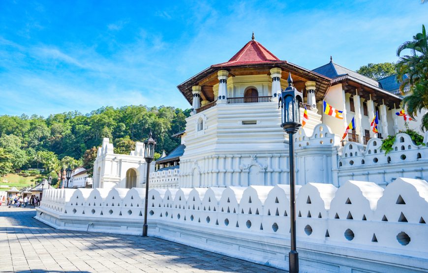 9 Nights 10 Days Tour In Sri Lanka