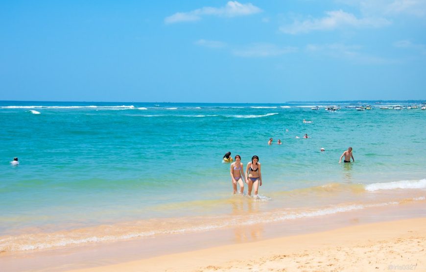 10 Nights 11 Days Tour in Sri Lanaka