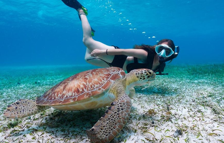 13 Nights 14 Days Tour in Sri Lanka