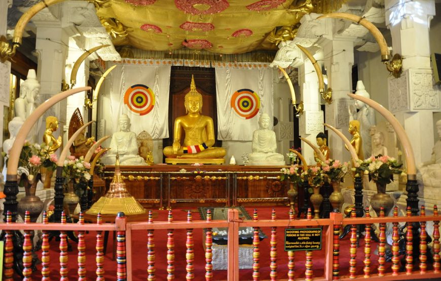 9 Nights 10 Days Tour In Sri Lanka
